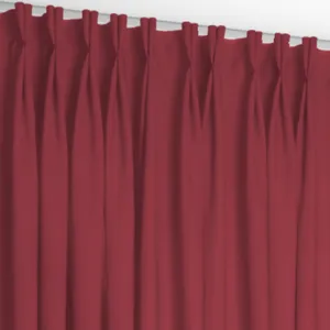 pleat_curtain_double